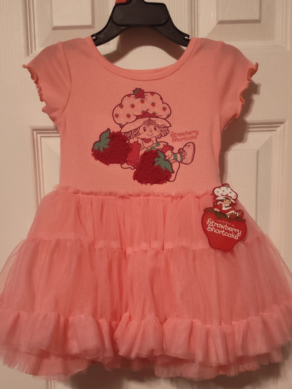 Dress Tutu Strawberry Shortcake